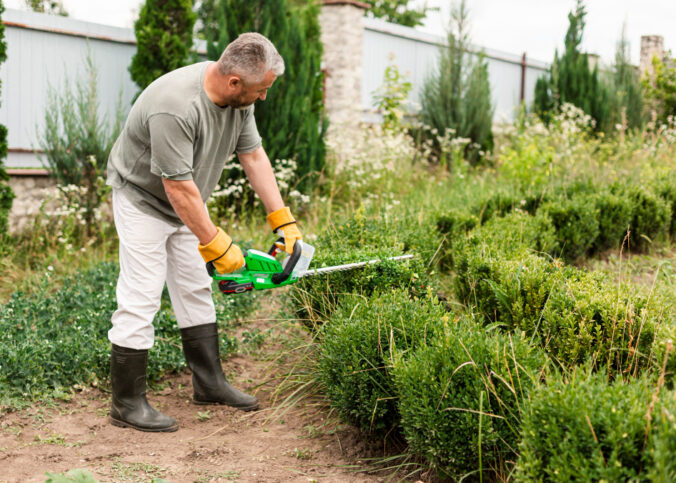 Serviço de jardinagem: conheça seus benefícios e onde encontrar