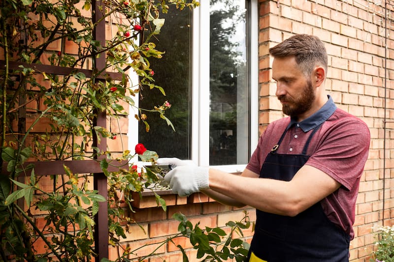 Como transformar a frente de casa com um serviço de jardinagem profissional